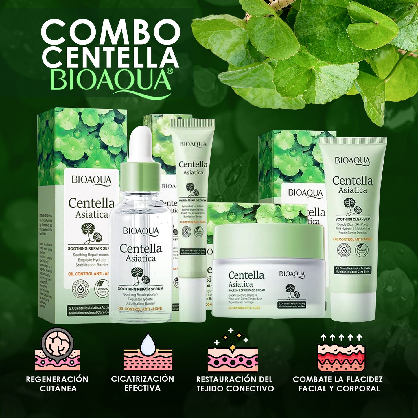 COMBO CENTELLA ASIÁTICA - BIOAQUA